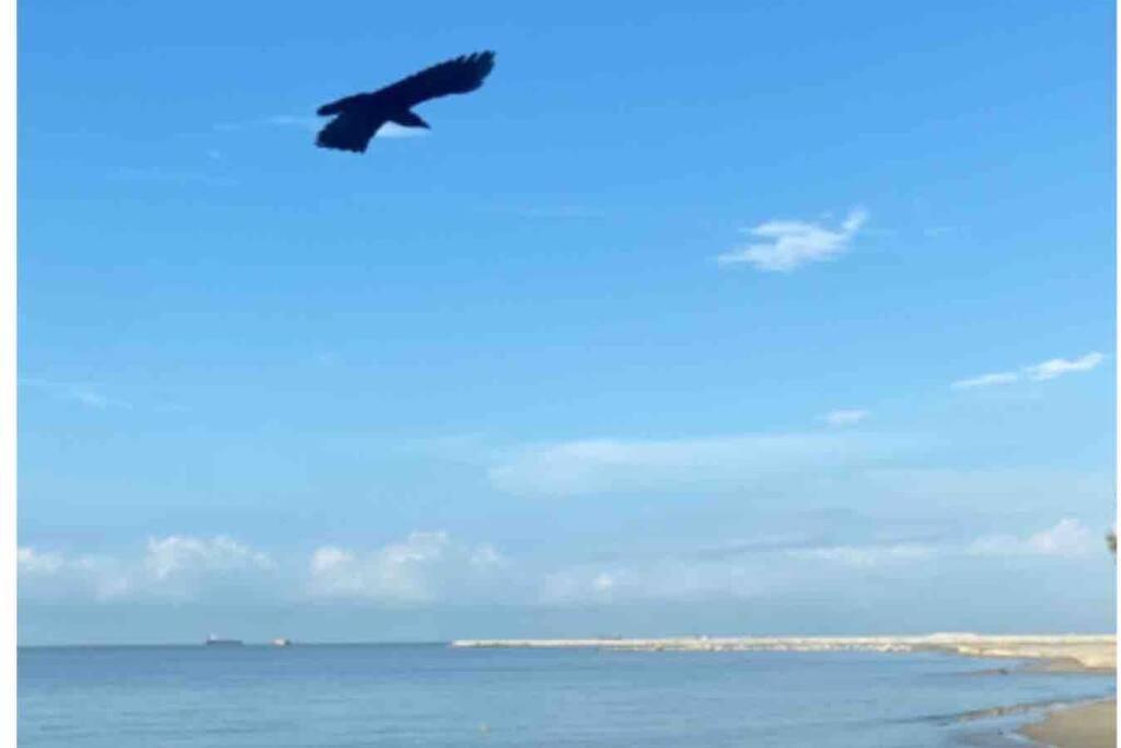 Melaka Beach Villa Klebang Besar エクステリア 写真